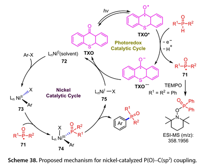1695361950389657.jpg 1695361950389657.jpg