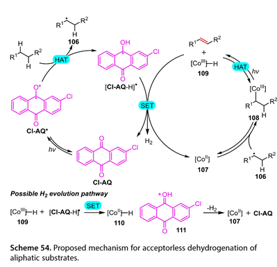 1695363114211944.jpg 1695363114211944.jpg