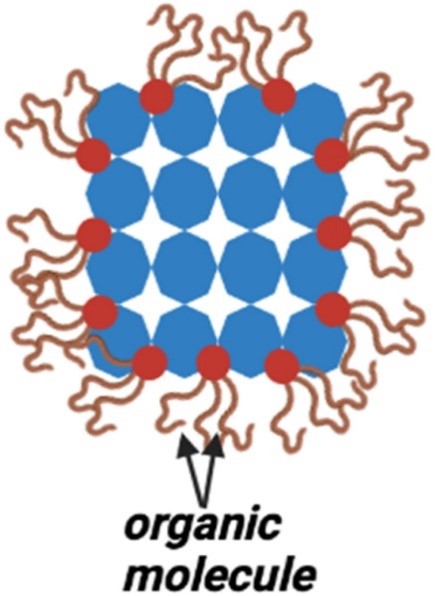 1702693120167716.jpg 6.jpg